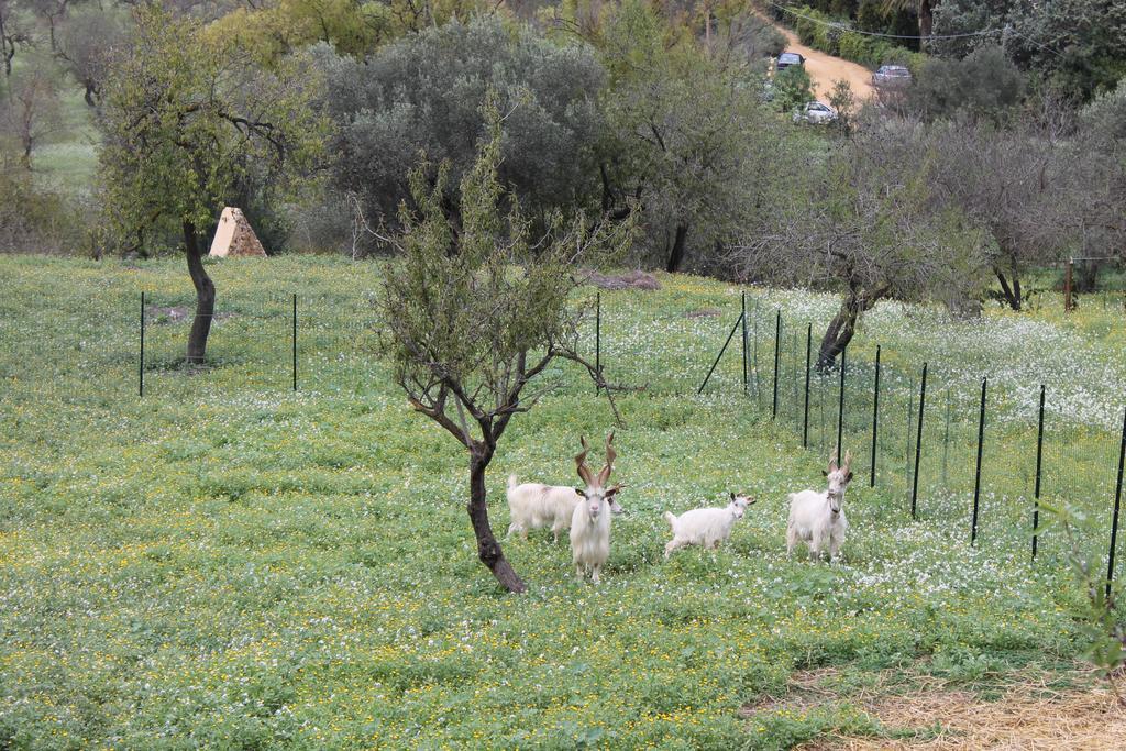 Apartament Casa Vistosa Agrigento Zewnętrze zdjęcie